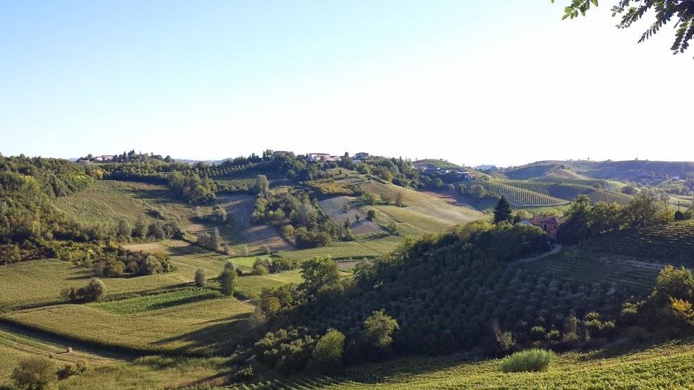 Alta Villa The Countryhouse Adults Only Boutique Bnb Vigliano d'Asti Exterior foto